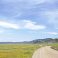 Country Road Horizon Mural Wallpaper - pure wallpaper artwork