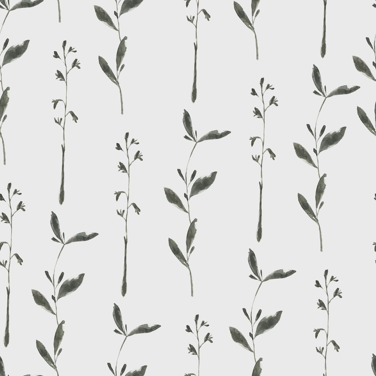 Herbs From the Sand Dune Mural Wallpaper - pure wallpaper artwork