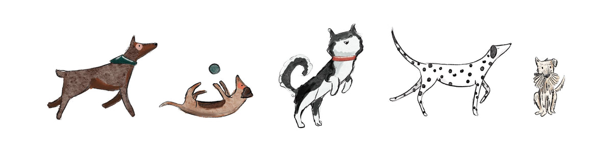 Let's Play Dogs Mural Wallpaper - pure wallpaper artwork