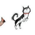 Let's Play Dogs Mural Wallpaper - pure wallpaper artwork