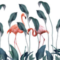 Shy Flamingos Mural Wallpaper - pure wallpaper artwork