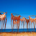 Octopus Harvest Mural Wallpaper - pure wallpaper artwork