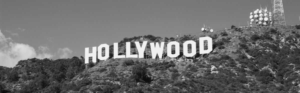 Hollywood Heights Mural Wallpaper - pure wallpaper artwork