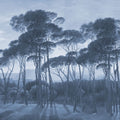Mediterranean Pine Landscape, Blues Mural Wallpaper - pure wallpaper artwork