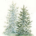 Winter Pine Mural Wallpaper - pure wallpaper artwork