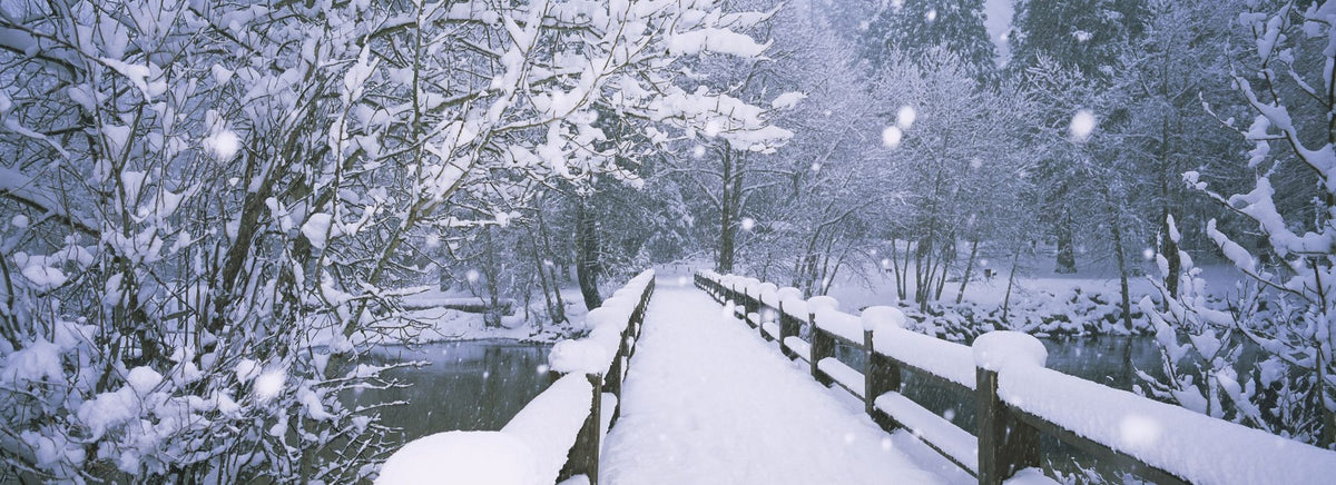 Winter Bridge Serenity Mural Wallpaper - pure wallpaper artwork