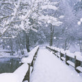 Winter Bridge Serenity Mural Wallpaper - pure wallpaper artwork