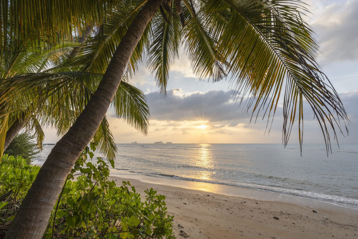 Golden Shore Sunrise Mural Wallpaper - pure wallpaper artwork