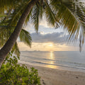 Golden Shore Sunrise Mural Wallpaper - pure wallpaper artwork
