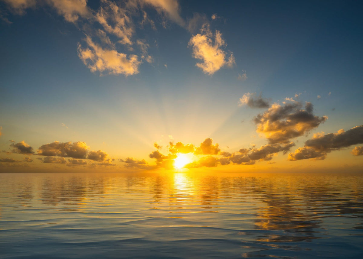 The Sunset Mural Wallpaper - pure wallpaper artwork