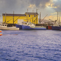 Lobster Fishing Harbour Mural Wallpaper - pure wallpaper artwork