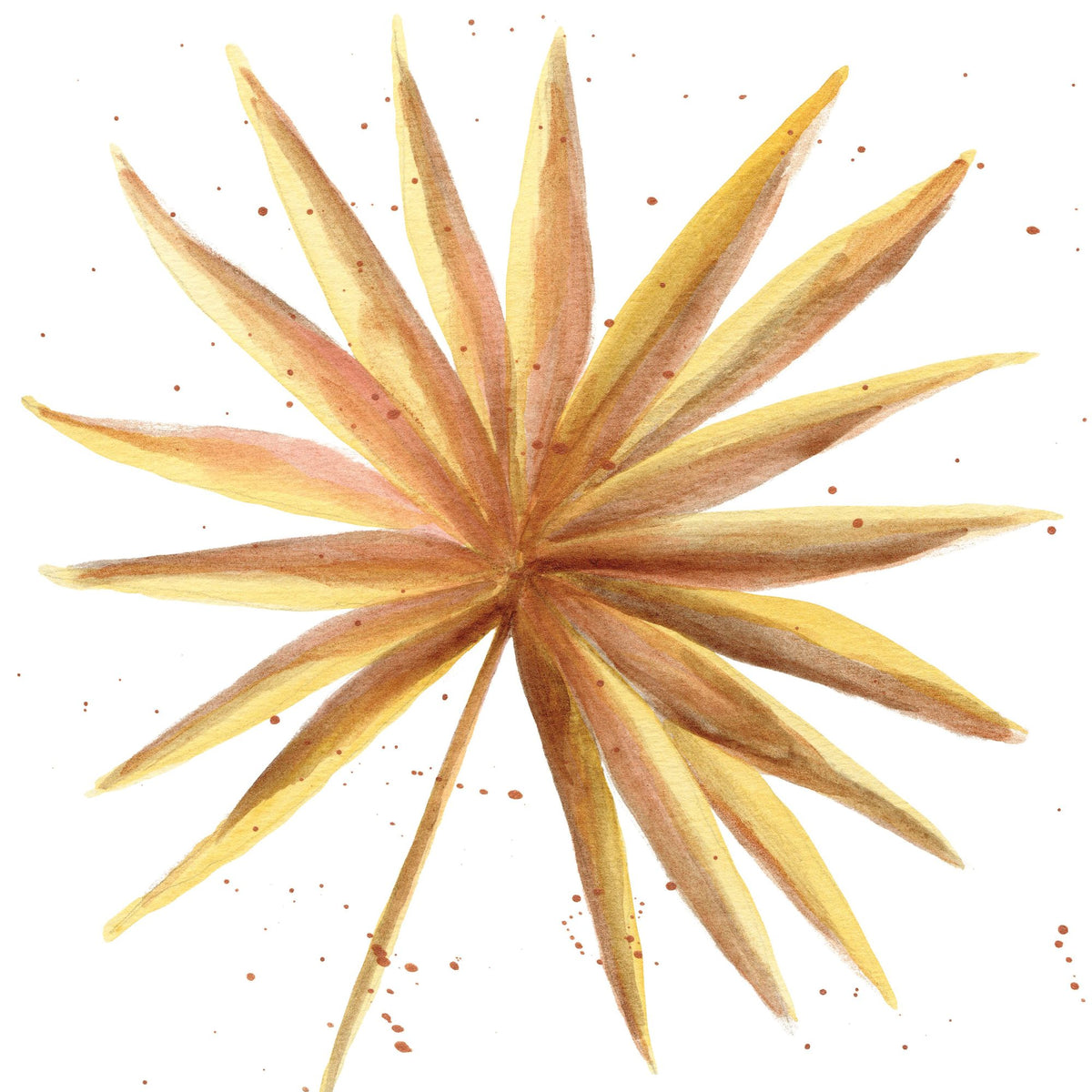 Palm Splashes I Mural Wallpaper - pure wallpaper artwork