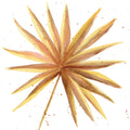 Palm Splashes I Mural Wallpaper - pure wallpaper artwork