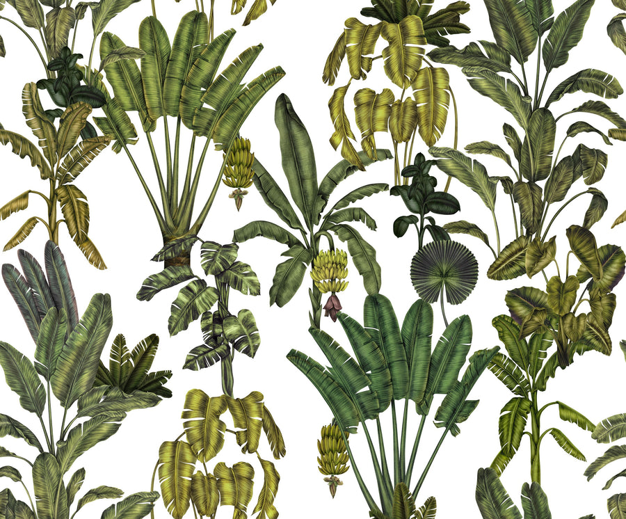 Banana Grove, White Mural Wallpaper