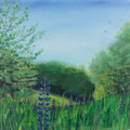 Charlottes Lupine Field Mural Wallpaper - pure wallpaper artwork