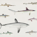 Sharks of the Pacific Ocean Mural Wallpaper - pure wallpaper artwork