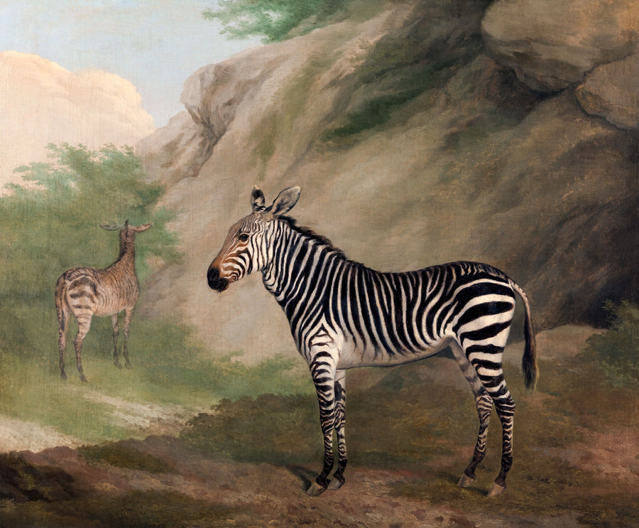 Antique Zebras Mural Wallpaper
