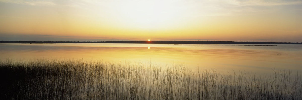 Golden Lake Whispers Mural Wallpaper - pure wallpaper artwork