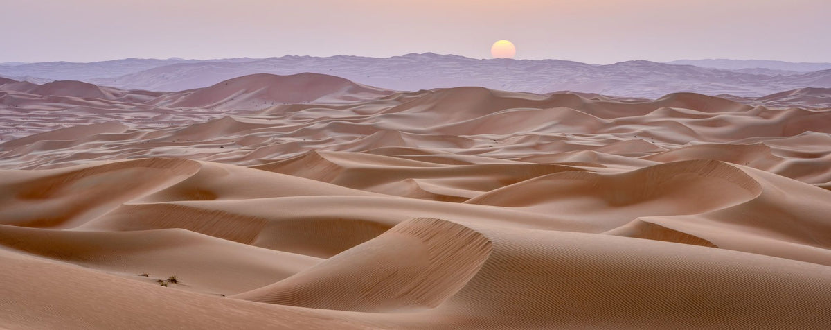 Desert Sunset Mural Wallpaper - pure wallpaper artwork