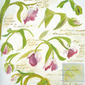 Tulips Mural Wallpaper - pure wallpaper artwork