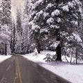 Winter's Path Mural Wallpaper - pure wallpaper artwork