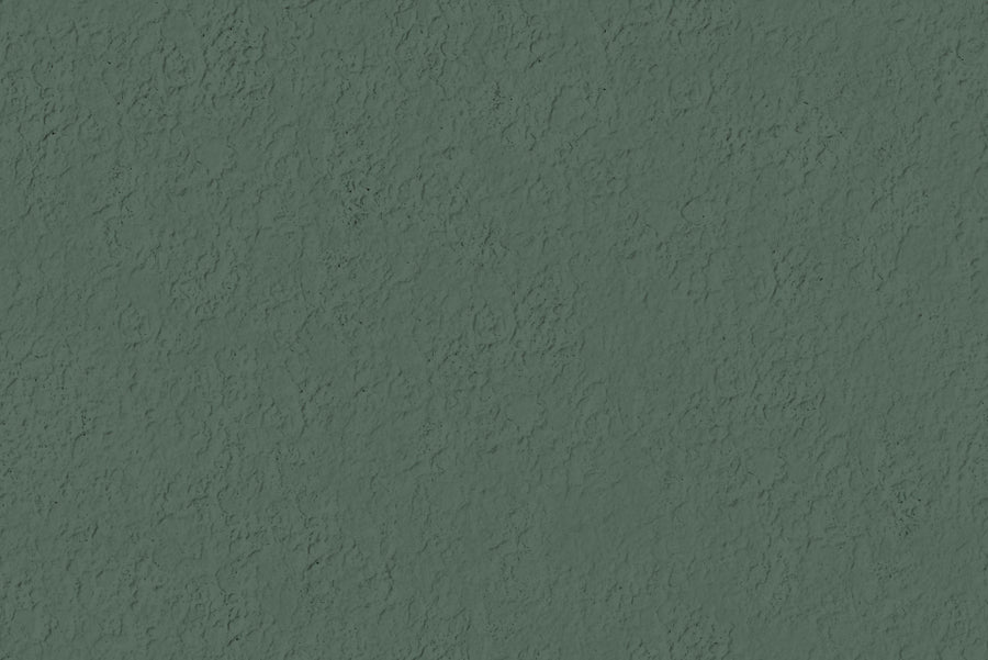 Faux Sand Stucco Finish, Juniper Mural Wallpaper