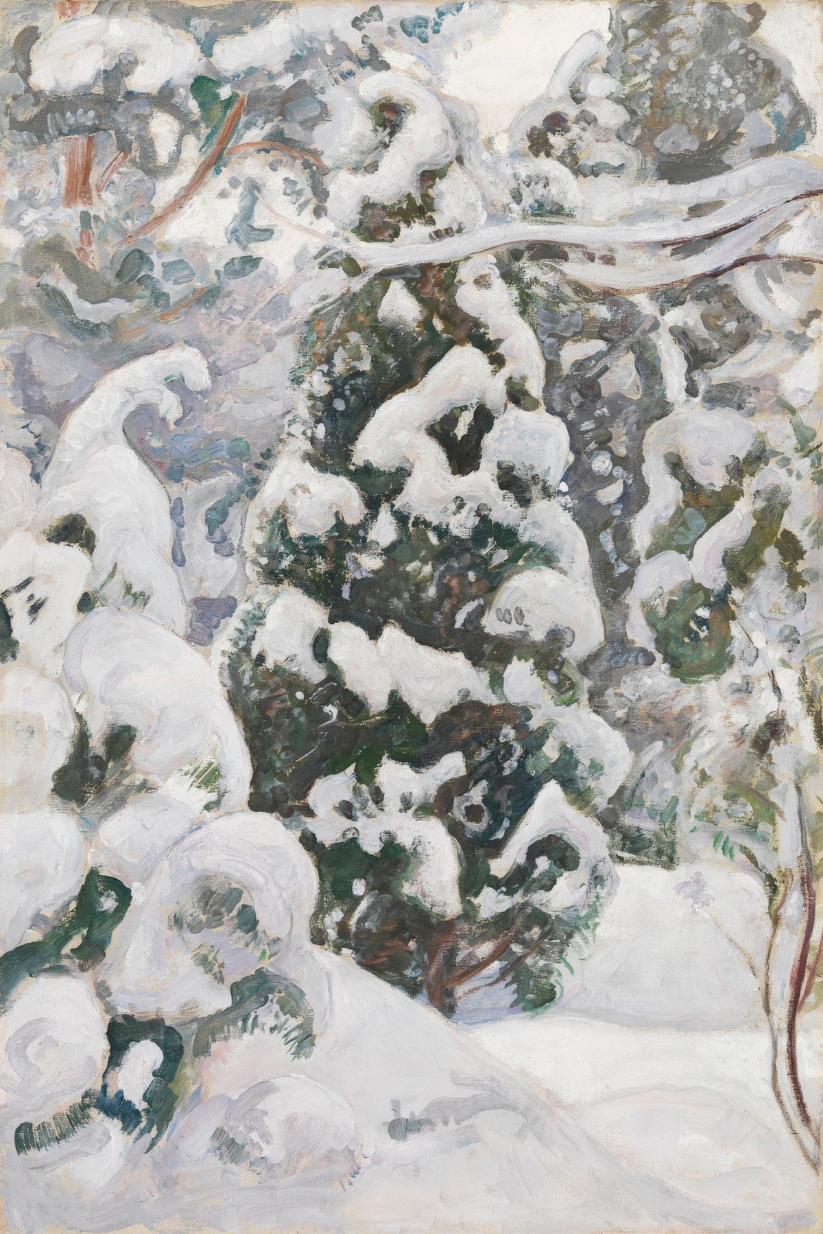 Juniper Tree in the Snow Mural Wallpaper - pure wallpaper artwork