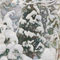 Juniper Tree in the Snow Mural Wallpaper - pure wallpaper artwork