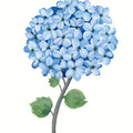 Nantucket Blue Hydrangea I Mural Wallpaper - pure wallpaper artwork