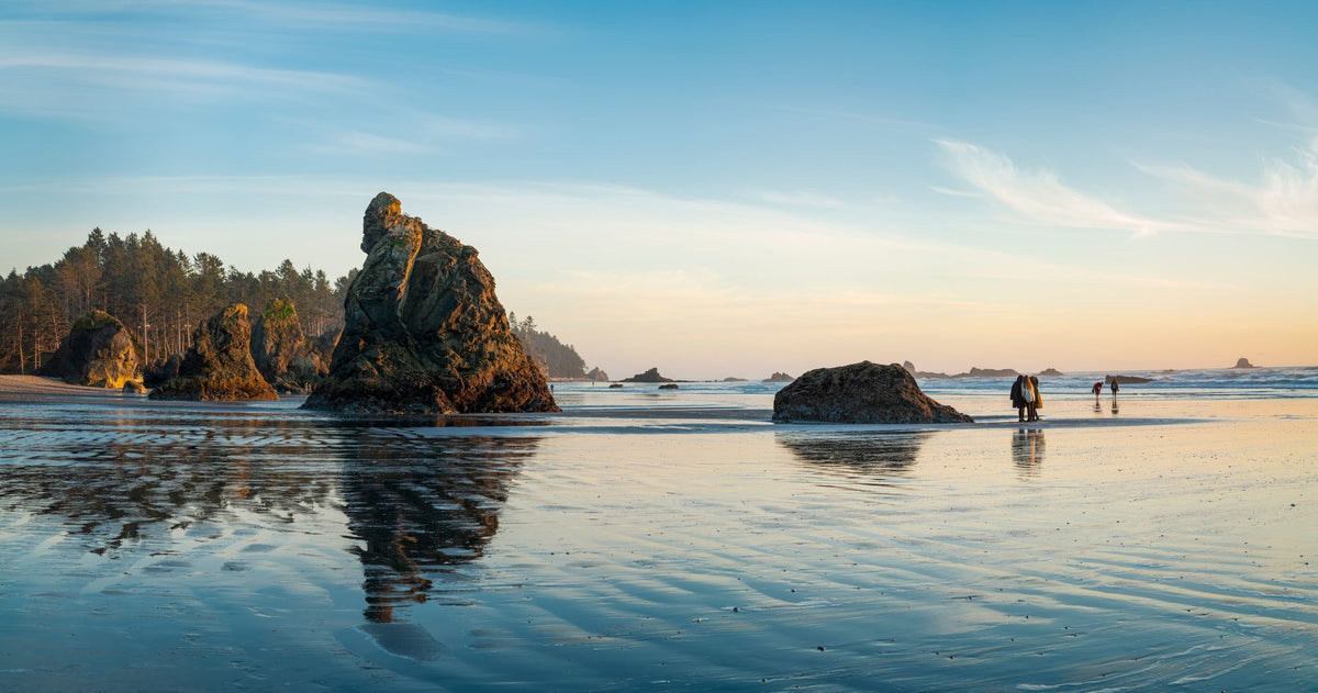 Ruby Beach Mural Wallpaper - Neutral Tone - pure wallpaper artwork