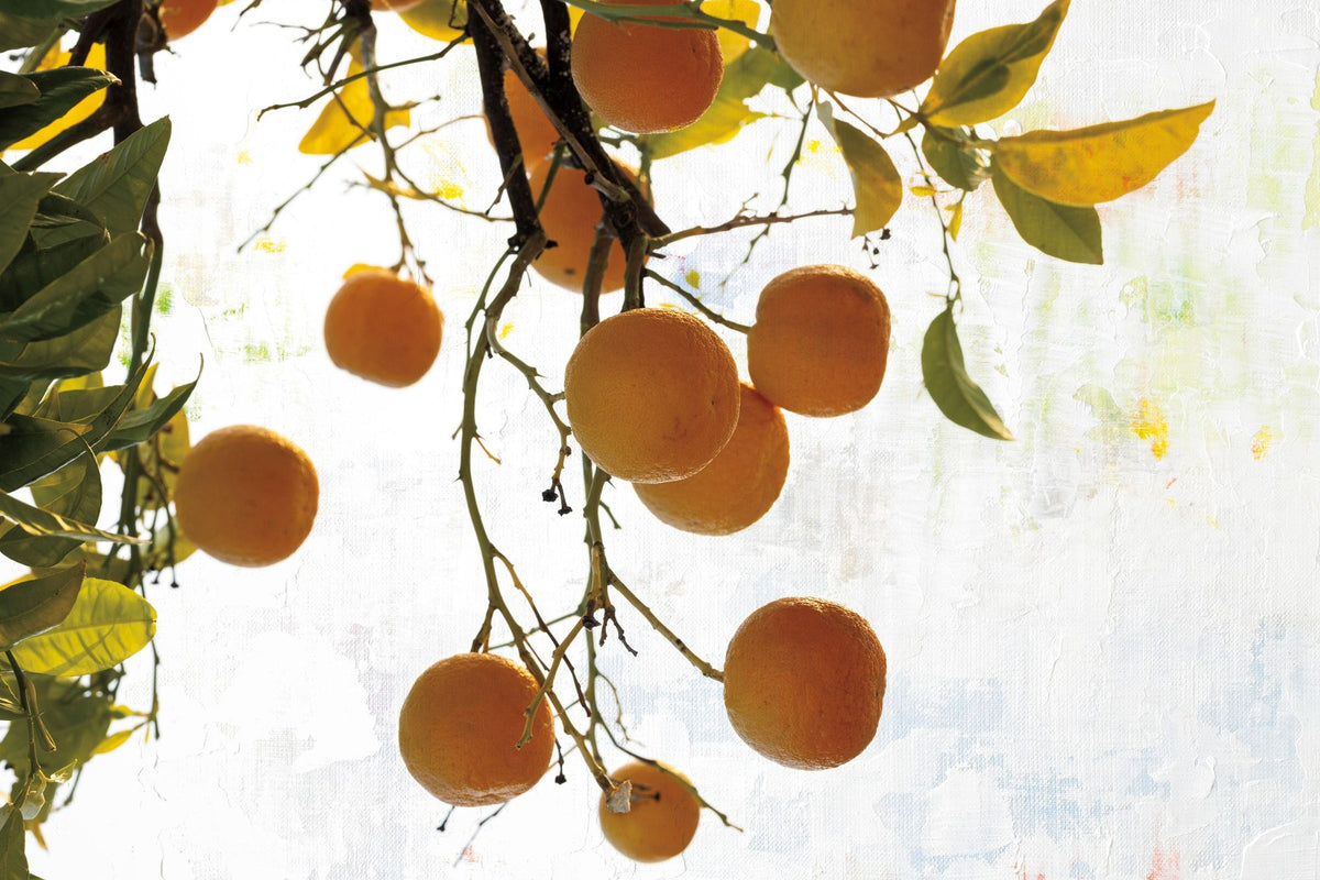 Oranges IV Mural Wallpaper - pure wallpaper artwork