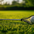 Lacrosse Mural Wallpaper - pure wallpaper artwork