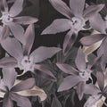 Big Orchids Dark Purple Mural Wallpaper - pure wallpaper artwork