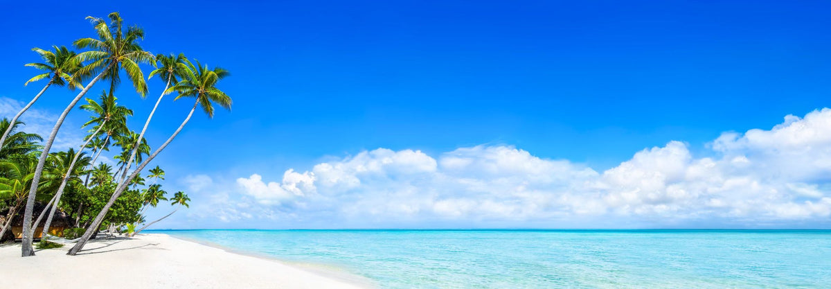 Tropical Beach, Bora Bora Mural Wallpaper - pure wallpaper artwork