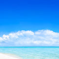 Tropical Beach, Bora Bora Mural Wallpaper - pure wallpaper artwork