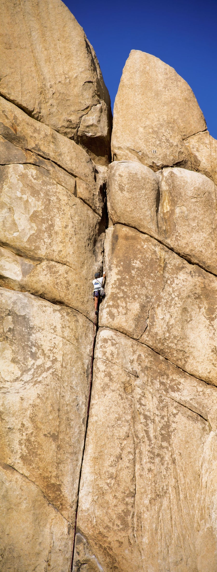 Desert Ascent Mural Wallpaper