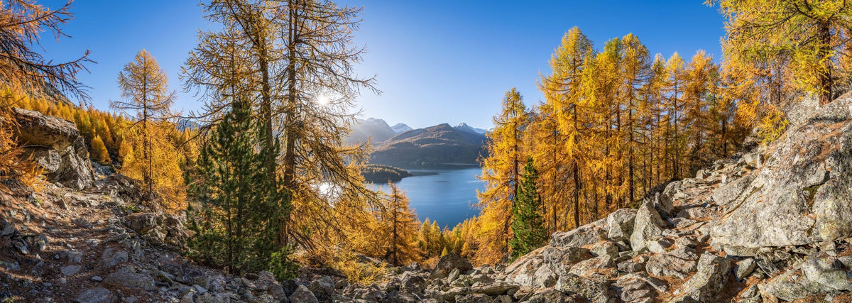 Silsersee Fall Mural Wallpaper - pure wallpaper artwork