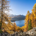 Silsersee Fall Mural Wallpaper - pure wallpaper artwork