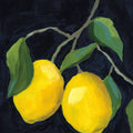 Two Lemons Mural Wallpaper - pure wallpaper artwork