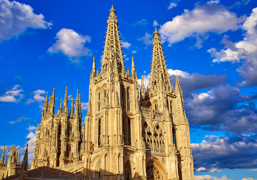 Burgos Cathedral Mural Wallpaper