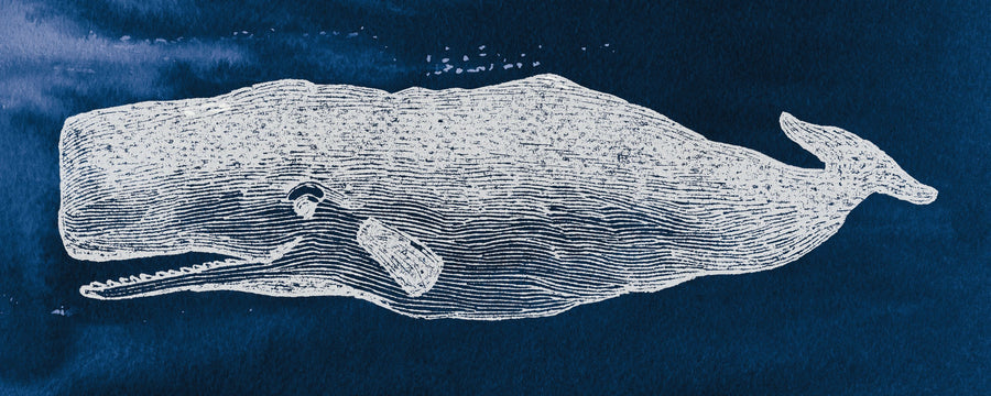 Big Whale Mural Wallpaper