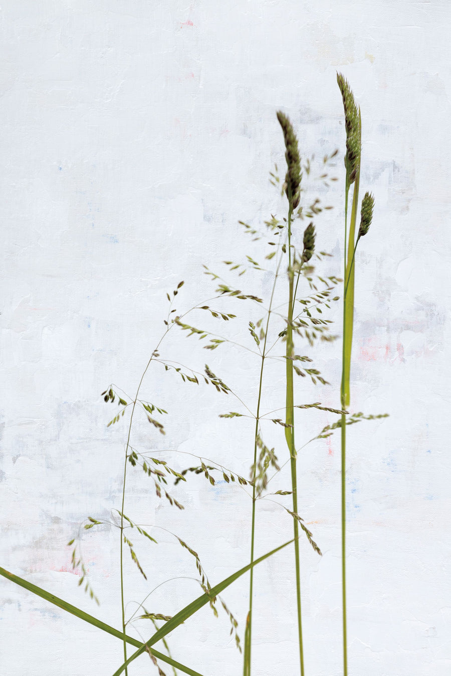 Meadow Greenery Mural Wallpaper