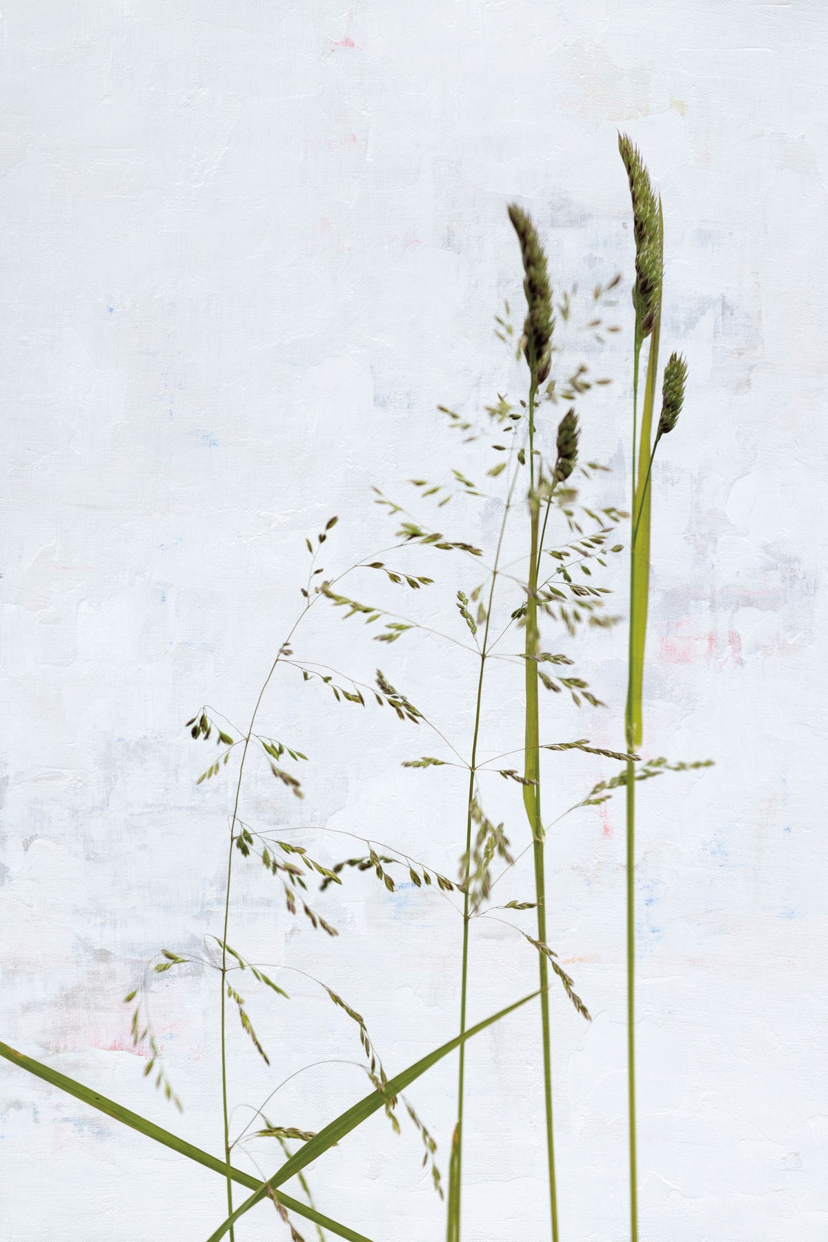 Meadow Greenery Mural Wallpaper - pure wallpaper artwork