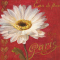 Paris Blossom I Mural Wallpaper - pure wallpaper artwork