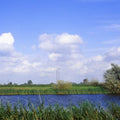 Dutch Riverside Windmill Mural Wallpaper - pure wallpaper artwork