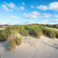Beach Dunes Mural Wallpaper - pure wallpaper artwork