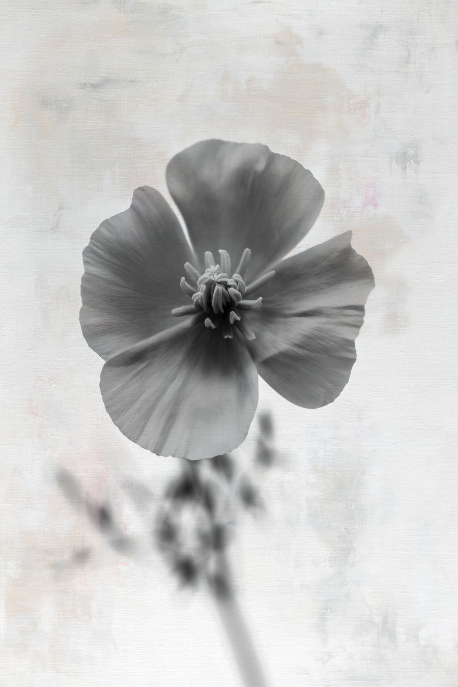 Wonderful Wildflowers V Neutral Mural Wallpaper