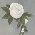Sweet Peony Gray Mural Wallpaper - pure wallpaper artwork