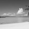 Paradise Shores Mural Wallpaper - pure wallpaper artwork