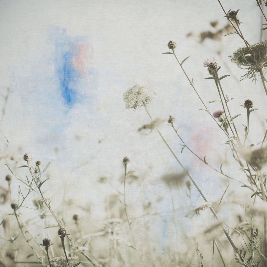 Wild Flowers II Mural Wallpaper